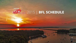 BFL2015